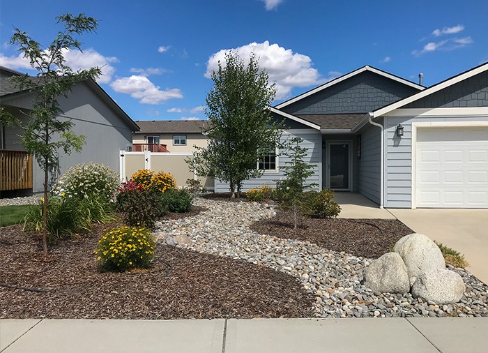 Front Lawn Restoration after