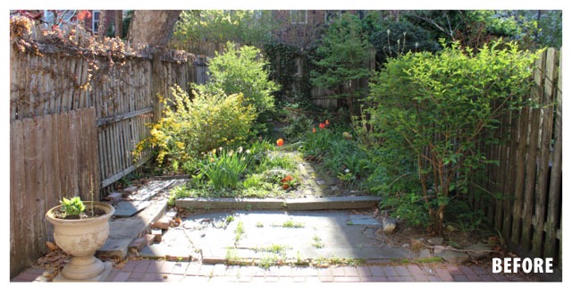 Backyard Transformation before