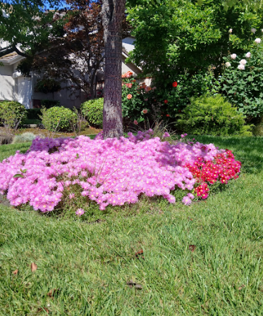 Seasonal Flower Bed Design