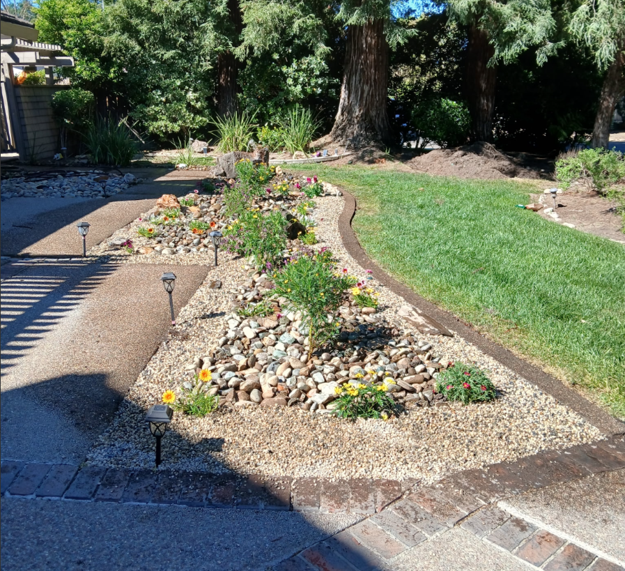 Decorative Stone Pathway & Drought-Wise Beds